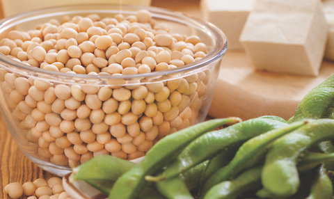 Soy Food